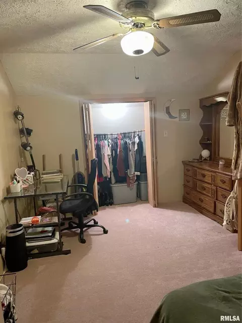 402 S Thomas St, Christopher, IL 62822 photo 27