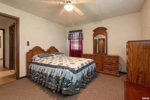 808 W Sylvia St, Christopher, IL 62822 photo 11