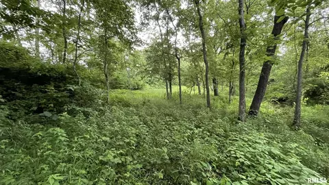 9381 Prairie Ridge Rd, Walsh, IL 62297 photo 51