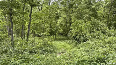 9381 Prairie Ridge Rd, Walsh, IL 62297 photo 44