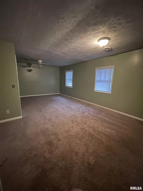 817 E 5th St, Metropolis, IL 62960 photo 5