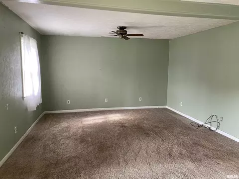 817 E 5th St, Metropolis, IL 62960 photo 3