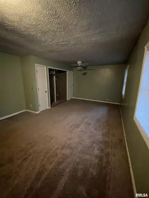 817 E 5th St, Metropolis, IL 62960 photo 4