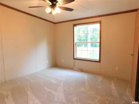 19188 E Divide Rd, Bluford, IL 62814 photo 20