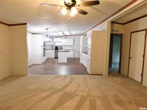 19188 E Divide Rd, Bluford, IL 62814 photo 17