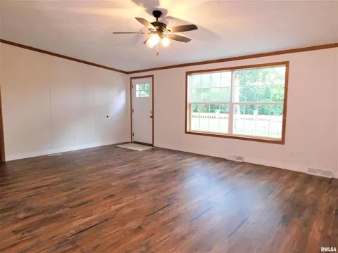 19188 E Divide Rd, Bluford, IL 62814 photo 12