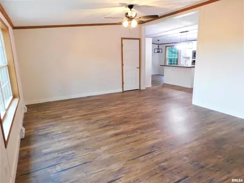 19188 E Divide Rd, Bluford, IL 62814 photo 11