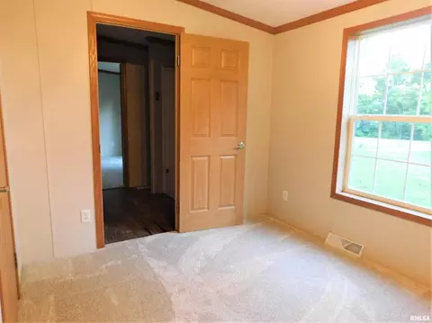 19188 E Divide Rd, Bluford, IL 62814 photo 21