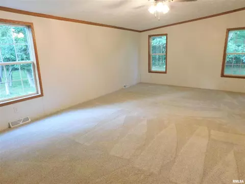 19188 E Divide Rd, Bluford, IL 62814 photo 26