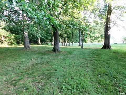 19188 E Divide Rd, Bluford, IL 62814 photo 10