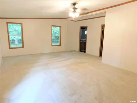 19188 E Divide Rd, Bluford, IL 62814 photo 27