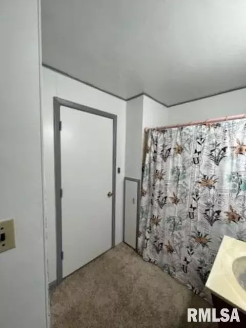 613 E County Road 870, Sims, IL 62886 photo 20