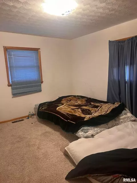 613 E County Road 870, Sims, IL 62886 photo 24