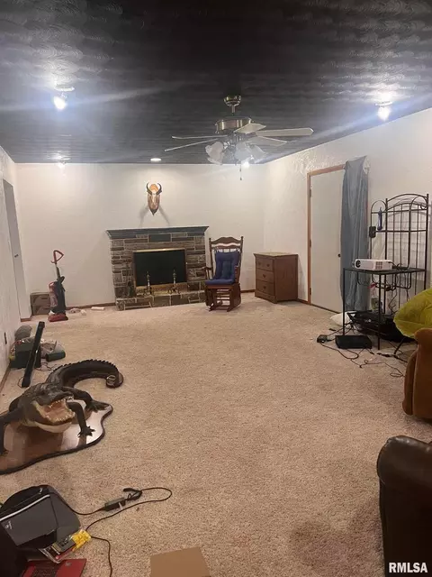 613 E County Road 870, Sims, IL 62886 photo 23