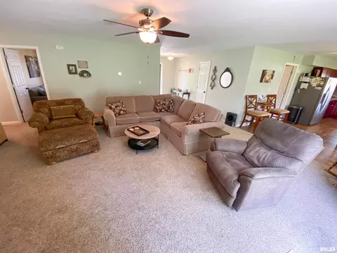 28 Stone Forge Pike Pike, Flora, IL 62839 photo 16