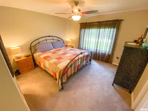 28 Stone Forge Pike Pike, Flora, IL 62839 photo 29
