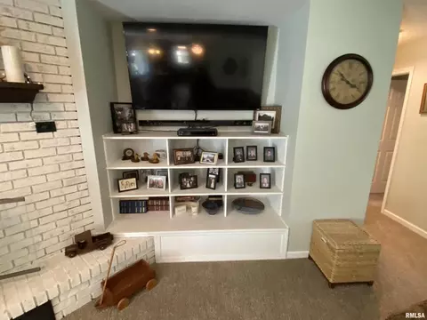 28 Stone Forge Pike Pike, Flora, IL 62839 photo 15