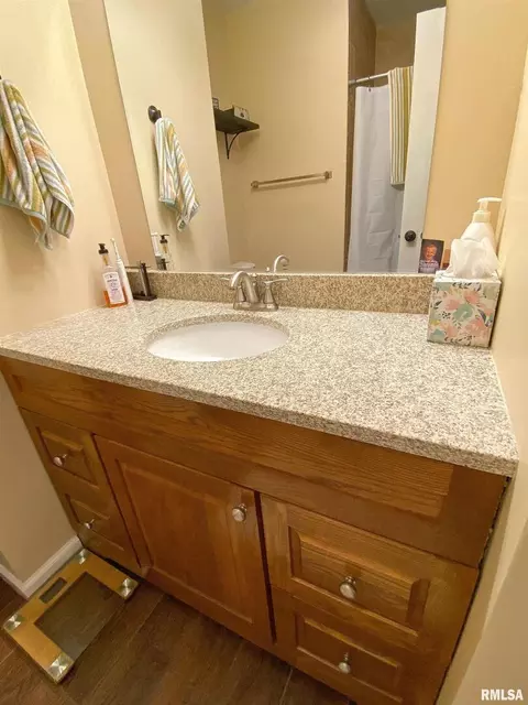 28 Stone Forge Pike Pike, Flora, IL 62839 photo 32