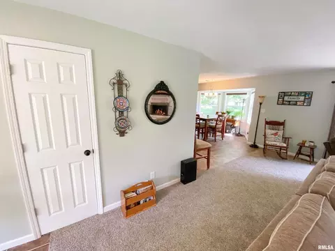 28 Stone Forge Pike Pike, Flora, IL 62839 photo 17