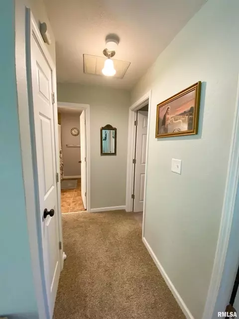 28 Stone Forge Pike Pike, Flora, IL 62839 photo 28