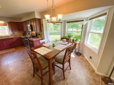 28 Stone Forge Pike Pike, Flora, IL 62839 photo 18