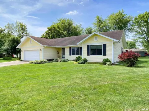 28 Stone Forge Pike Pike, Flora, IL 62839 photo 1