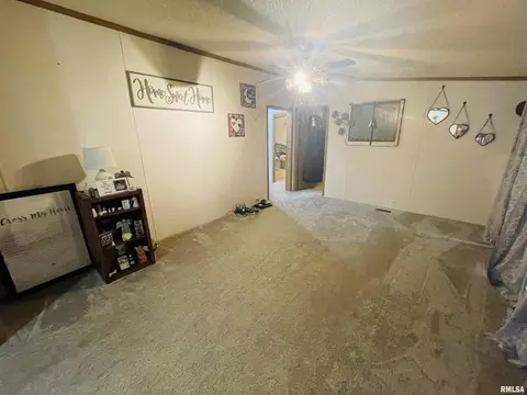 3881 Kell Rd, Centralia, IL 62801 photo 22