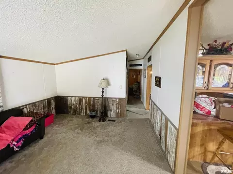 3881 Kell Rd, Centralia, IL 62801 photo 15