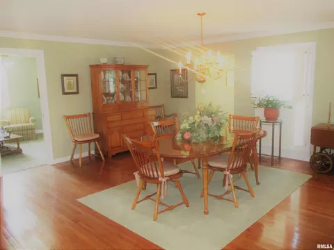 300 Bailey Ln, Benton, IL 62812 photo 8