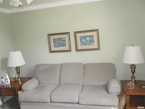 300 Bailey Ln, Benton, IL 62812 photo 32