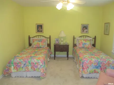 300 Bailey Ln, Benton, IL 62812 photo 21