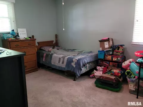 110 Evergreen Dr, Anna, IL 62906 photo 9