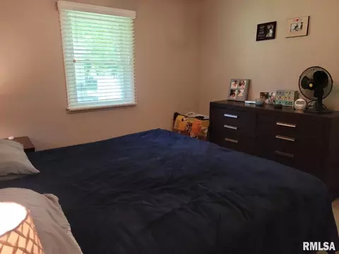 110 Evergreen Dr, Anna, IL 62906 photo 7
