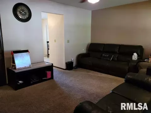 110 Evergreen Dr, Anna, IL 62906 photo 5