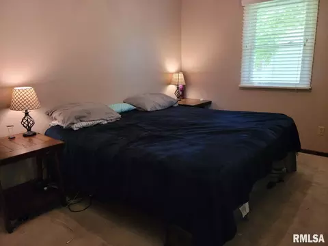 110 Evergreen Dr, Anna, IL 62906 photo 8
