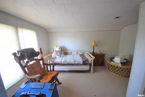 401 E 9th St, Johnston City, IL 62951 photo 18