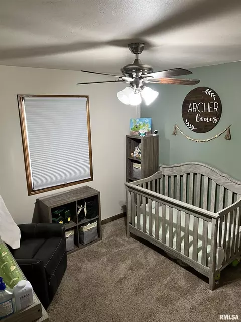 4002 Nation Rd, Salem, IL 62881 photo 13