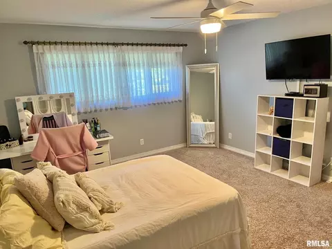 700 E Callie St, Sesser, IL 62884 photo 58