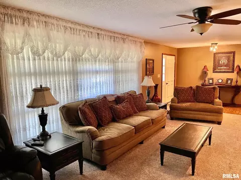 700 E Callie St, Sesser, IL 62884 photo 15