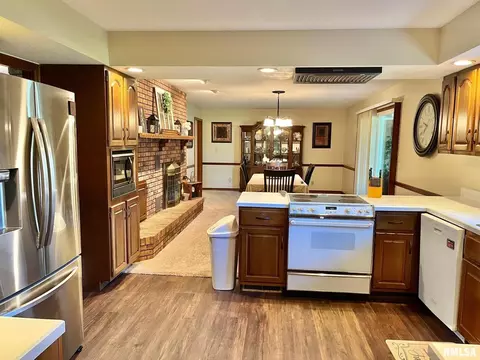 700 E Callie St, Sesser, IL 62884 photo 19