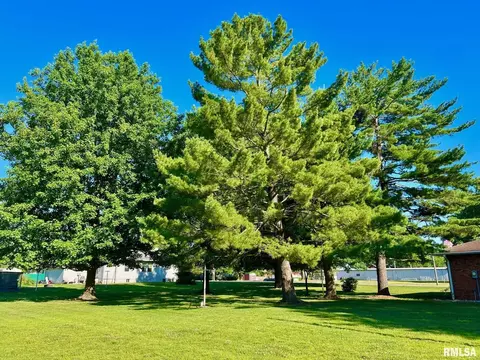 700 E Callie St, Sesser, IL 62884 photo 6