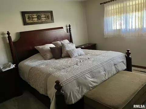 700 E Callie St, Sesser, IL 62884 photo 44