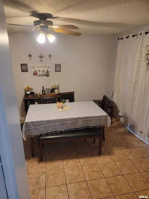 715 S Mulkey St, Christopher, IL 62822 photo 7
