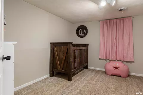 3738 Prison Rd, Marion, IL 62959 photo 17