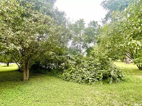 210 E Johnson St, Valier, IL 62891 photo 19