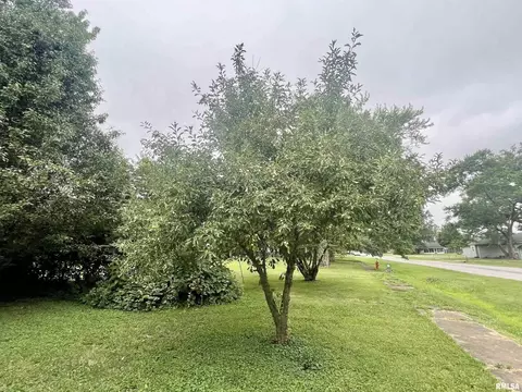 210 E Johnson St, Valier, IL 62891 photo 18