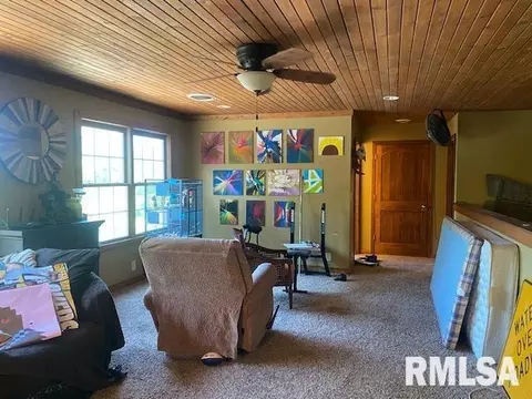 417 Chittyville Rd, Herrin, IL 62948 photo 9
