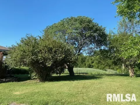 417 Chittyville Rd, Herrin, IL 62948 photo 2