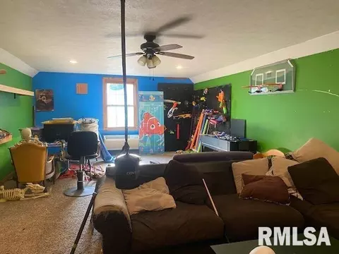 417 Chittyville Rd, Herrin, IL 62948 photo 12