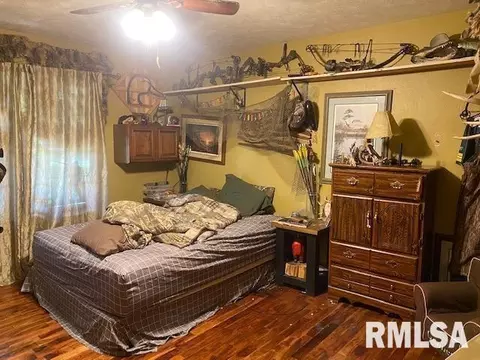 417 Chittyville Rd, Herrin, IL 62948 photo 16